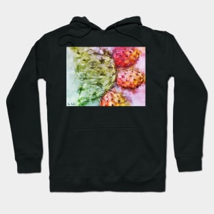 Colorful Cactus Fruit - Digital Watercolor Hoodie